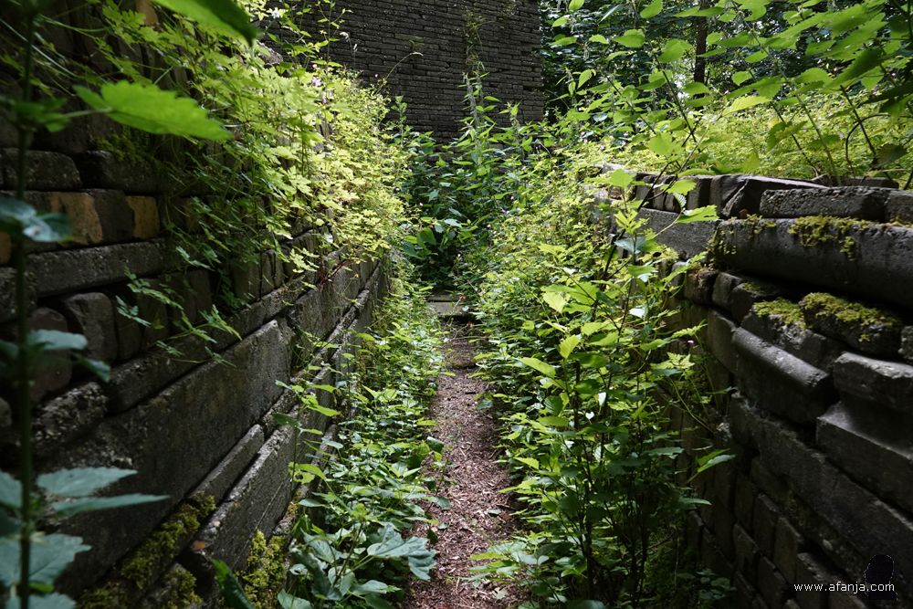 de natuur maakt het paadje geleidelijk smaller
