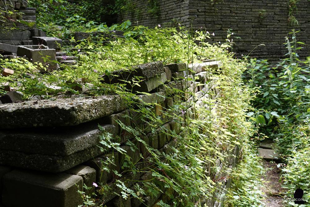 de natuur pakt terug wat van haar is