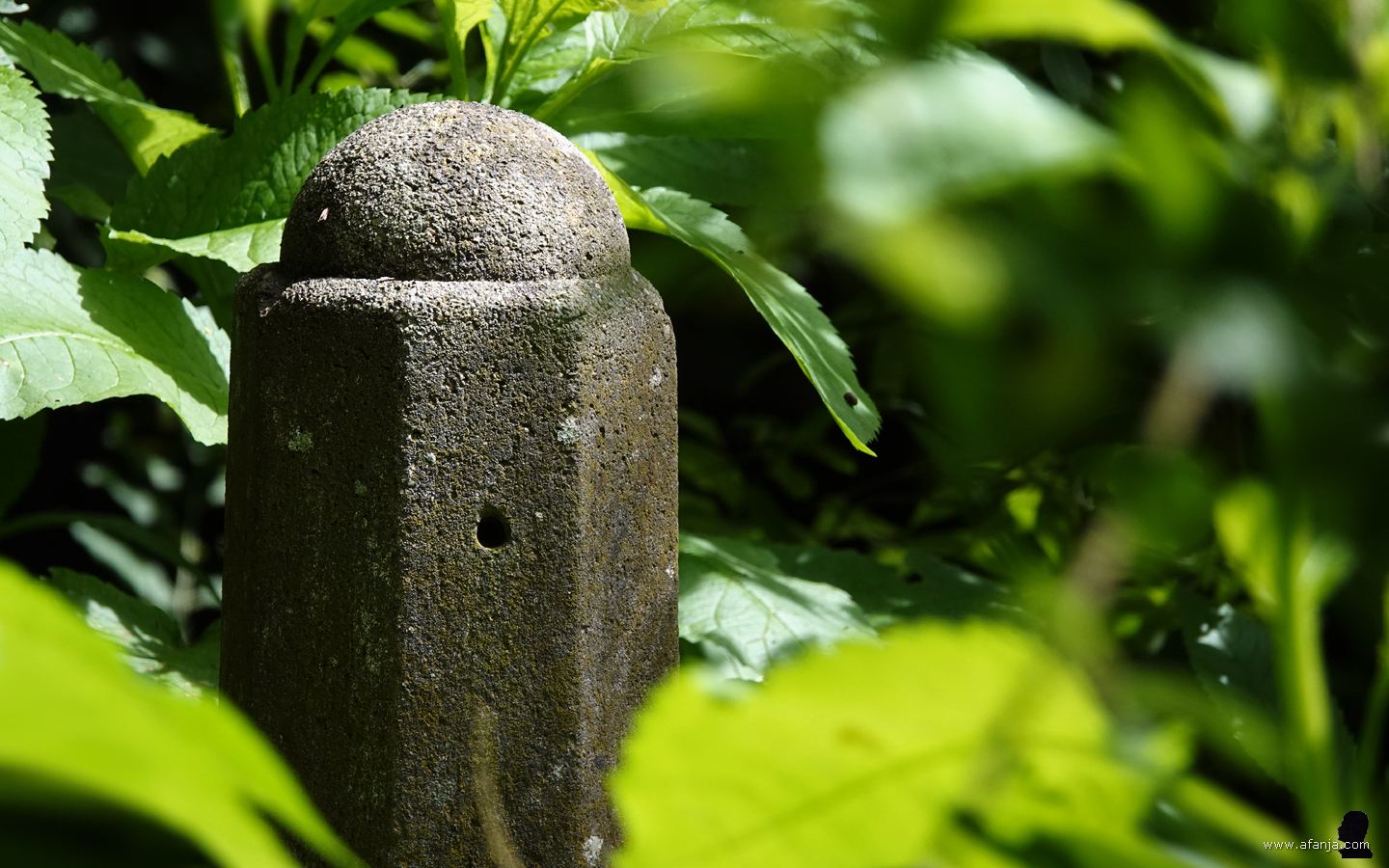 een betonnen paaltje staat te midden van het groen