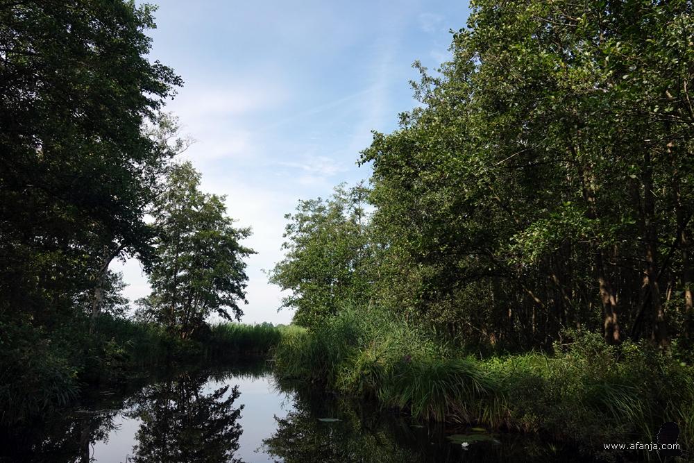 voorbij het bos lonkt het licht