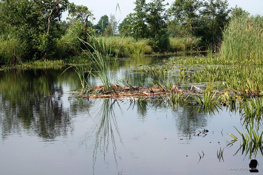 even wat open water voor de boot