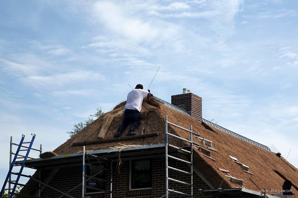 een rietdekker is aan het werk op het dak van een woonboerderij
