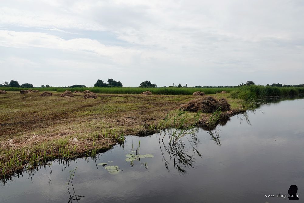 pas gemaaid hooiland