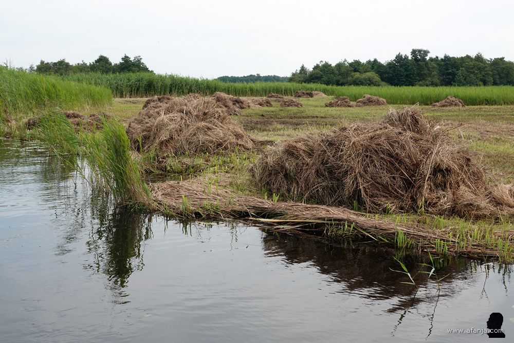 pas gemaaid hooiland