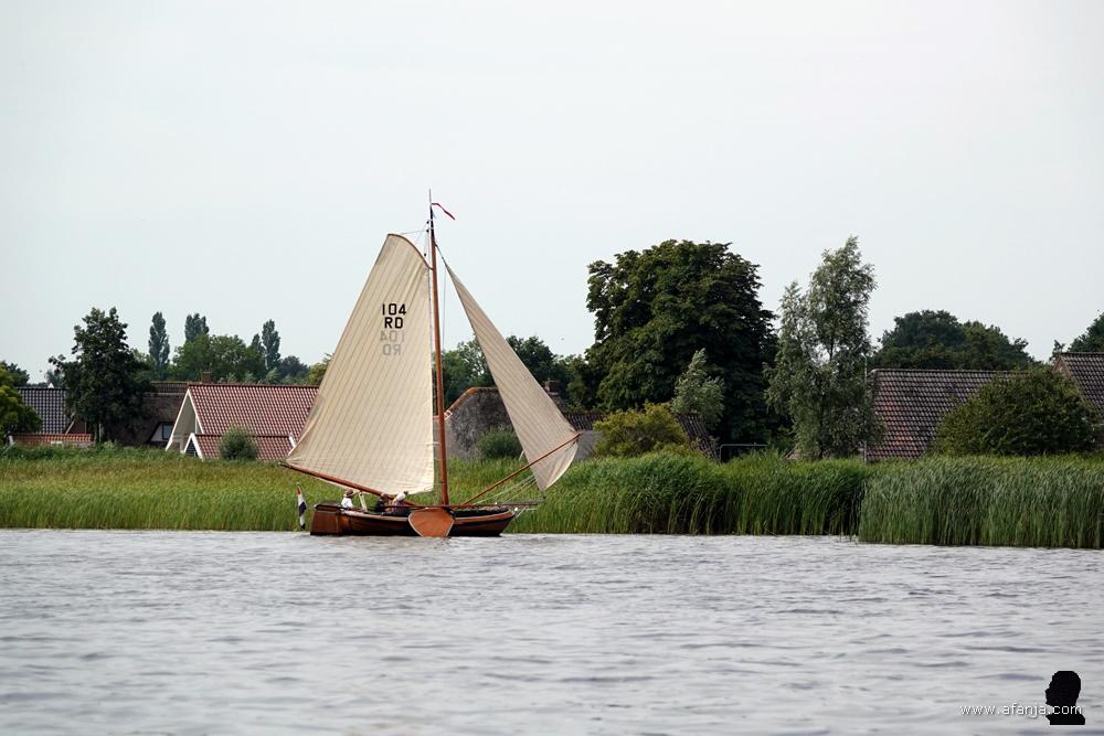 een zeilboot vaart in de richting van een brede rietkraag