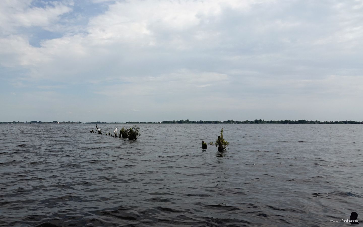 verraderlijke palen in de Beulakerwijde