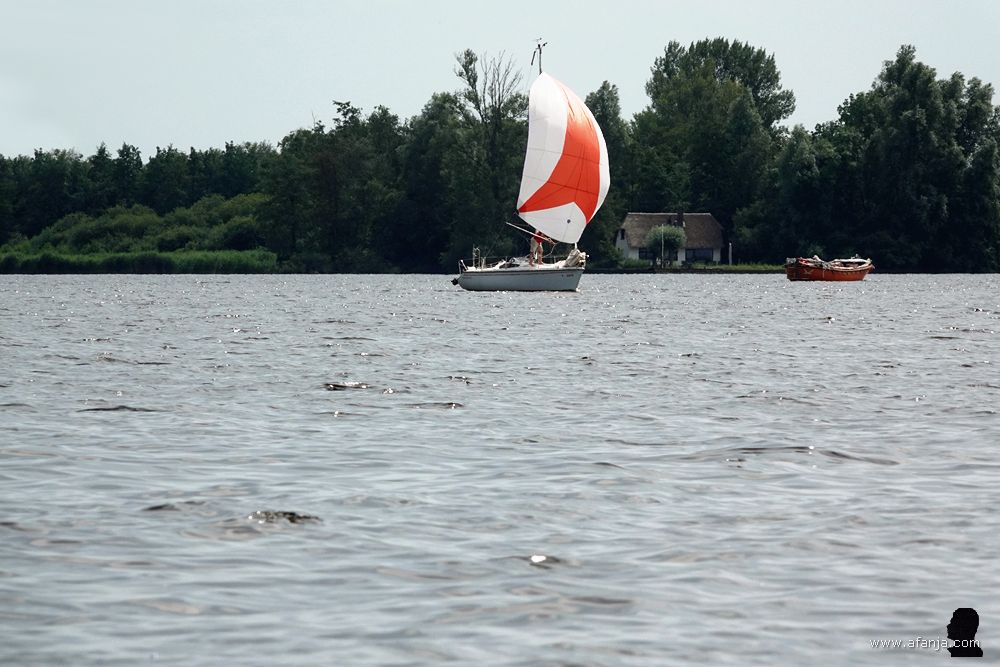 een zeilboot met een mooi gebolde spinnaker
