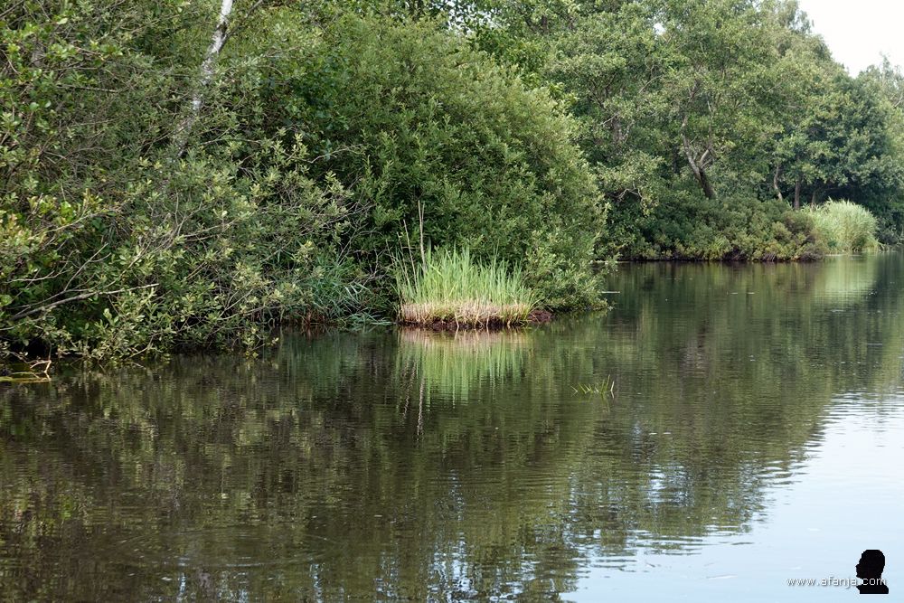 we laten de Beulakerwijde achter ons om huiswaarts te varen