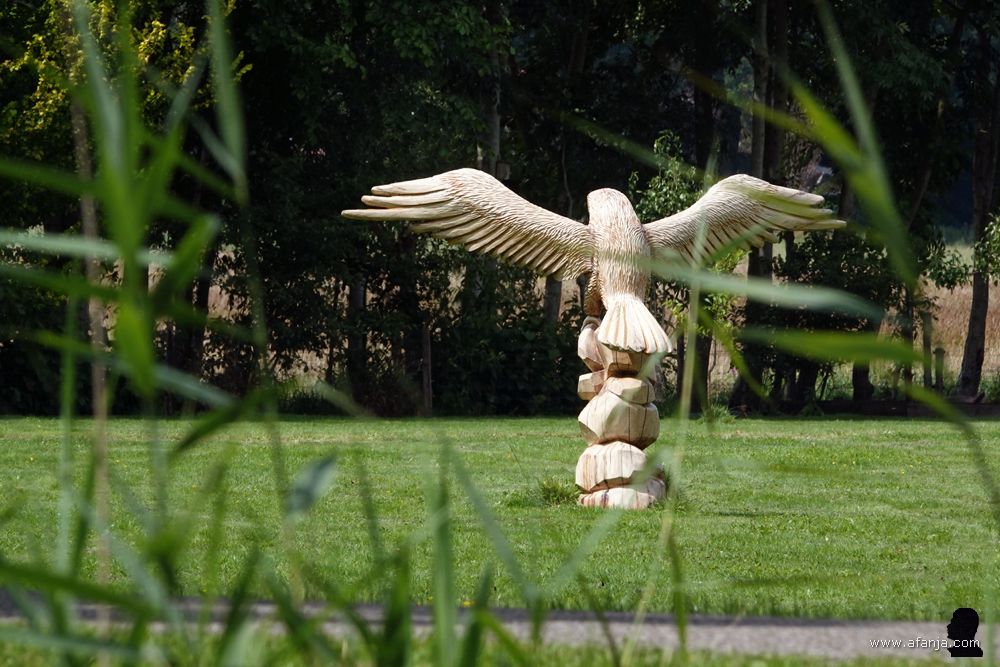 van achter een rietkraag komt een groot houtsneewerk tevoorschijn