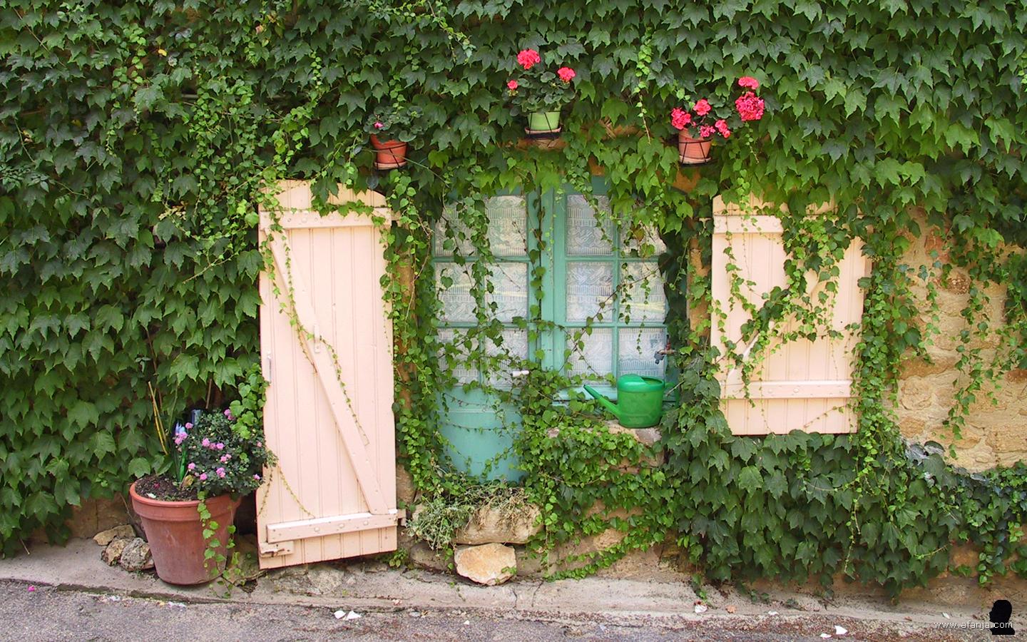 een muur begroeid met klimop met een raam en deur die al lang niet meer open geweest zijn