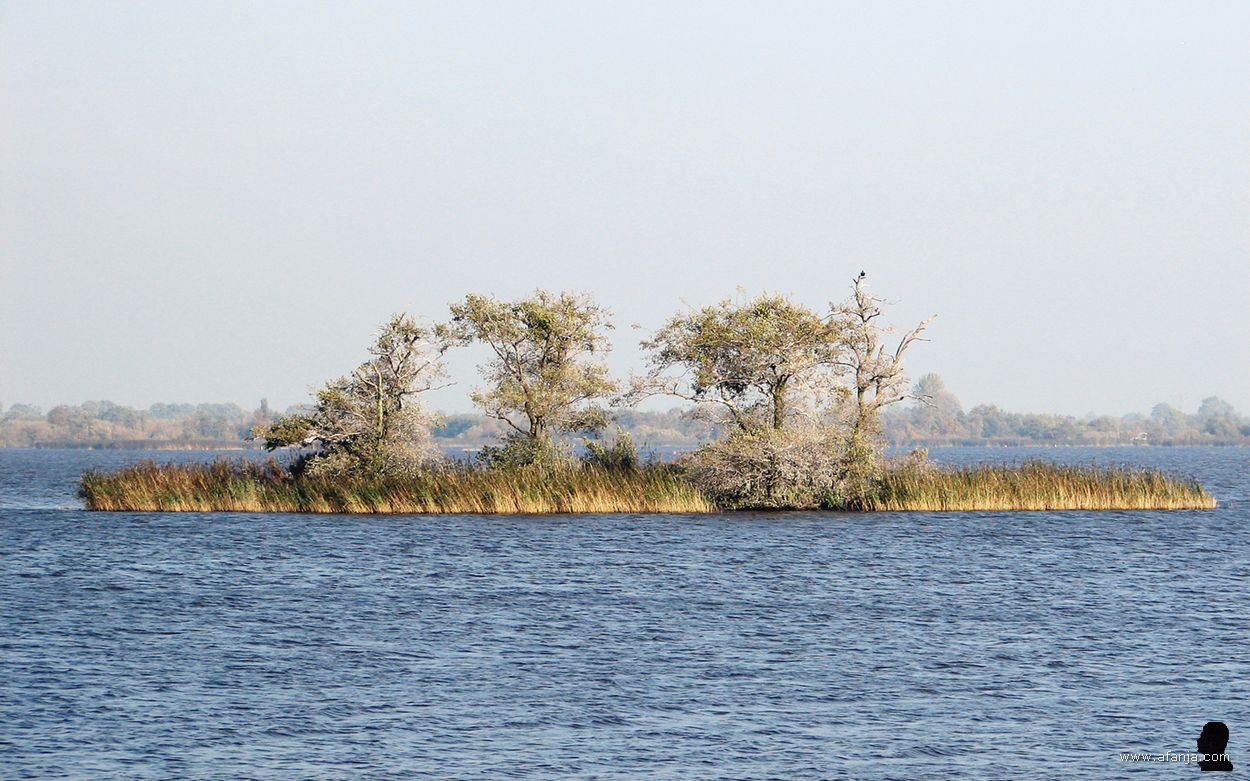 de Kninepôle - 2008