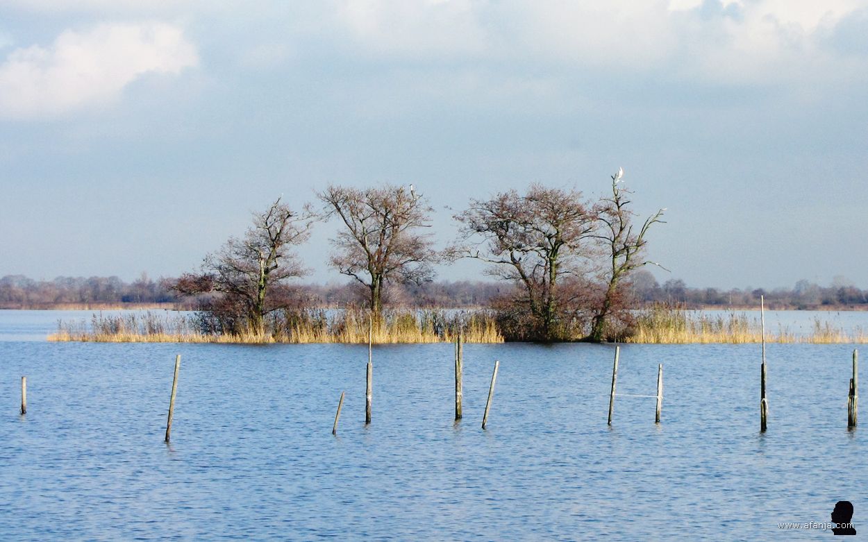 de Kninepôle - 2010