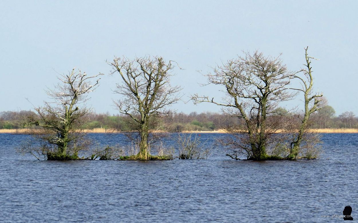 de Kninepôle - 2014