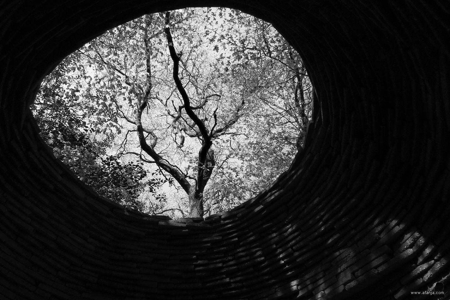 een ovaal gat in een bouwwerk in de Ecokathedraal waar zonlicht door naar binnen valt, door het gat is een boom te zien