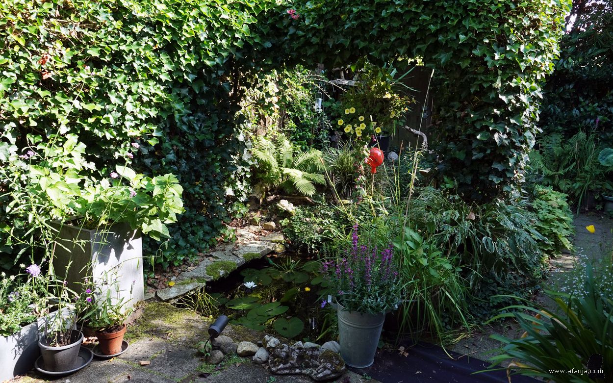 een kijkje in onze tuin met een kleine vijver bij het terras