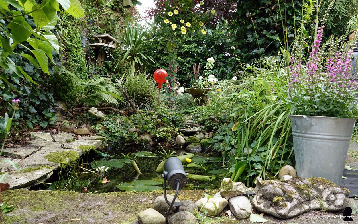 de vijver en de achterliggende border gezien vanaf het terras