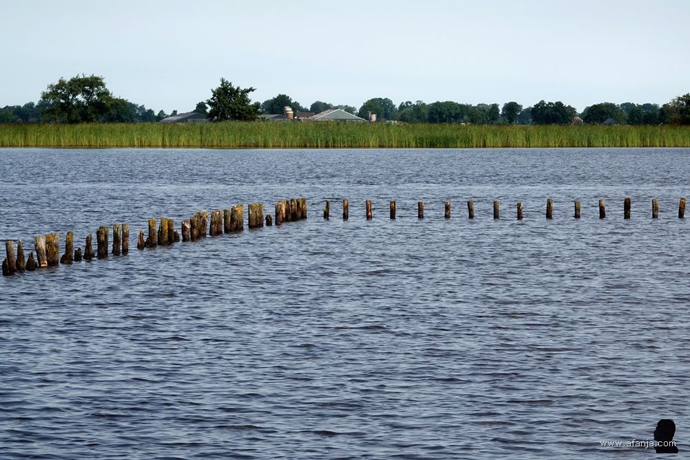 een palenrij rond het 'veilige' zwemwater