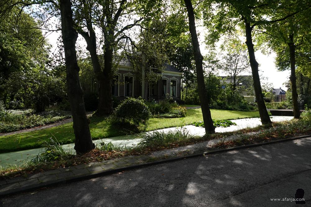 huizen achter een sloot die bedekt is met eendenkroos