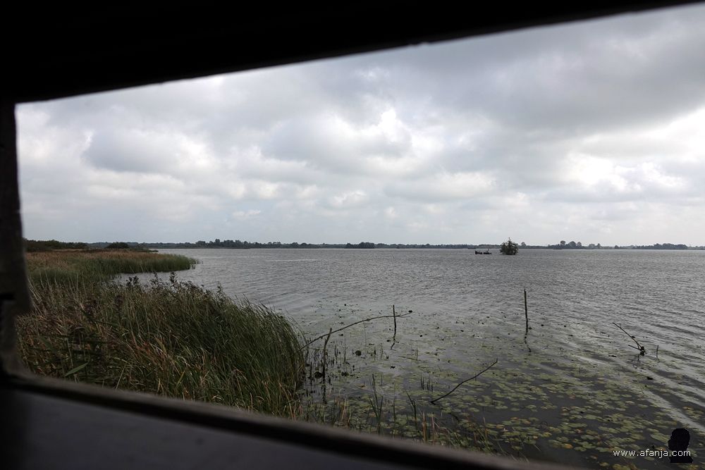 zicht op De Leijen in noordoostelijke richting vanuit de vogelkijkhut 'Blaustirns'