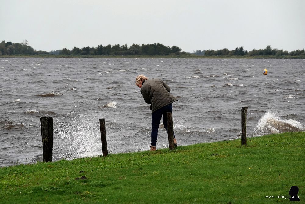 mijn fotomaatje Jetske lijkt nat te willen worden