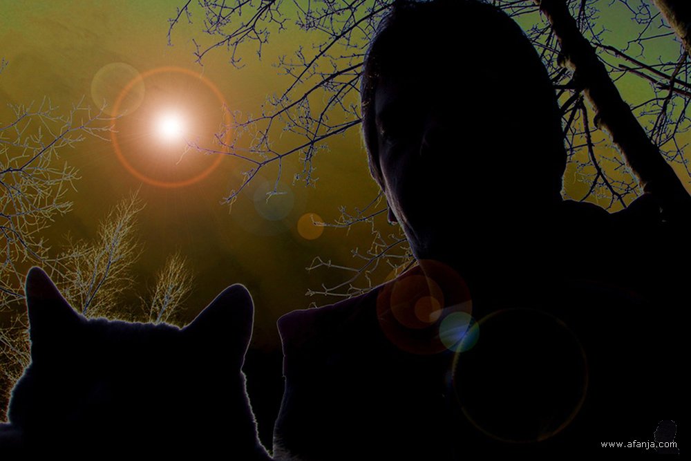 bewerking van een foto van selfie met de muisgrijze poes op schoot