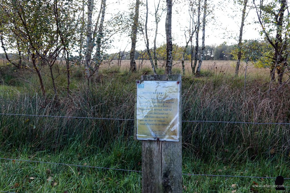 een affiche in glimmend plastic aan een paal