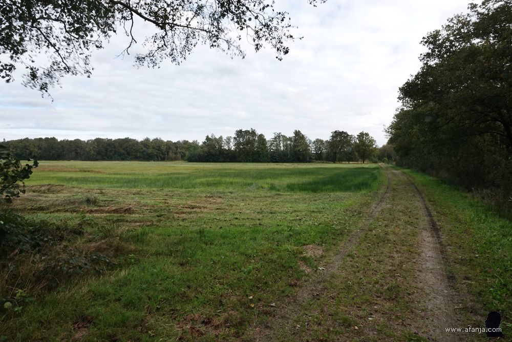 hooiland aan de linkerkant van het pad