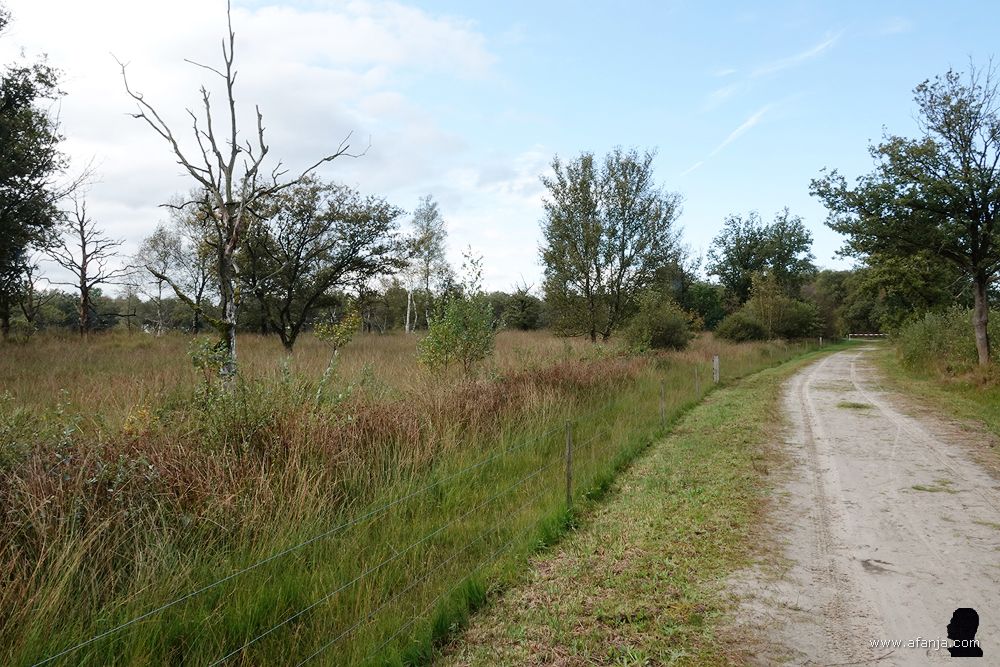 in het Weinterper Skar