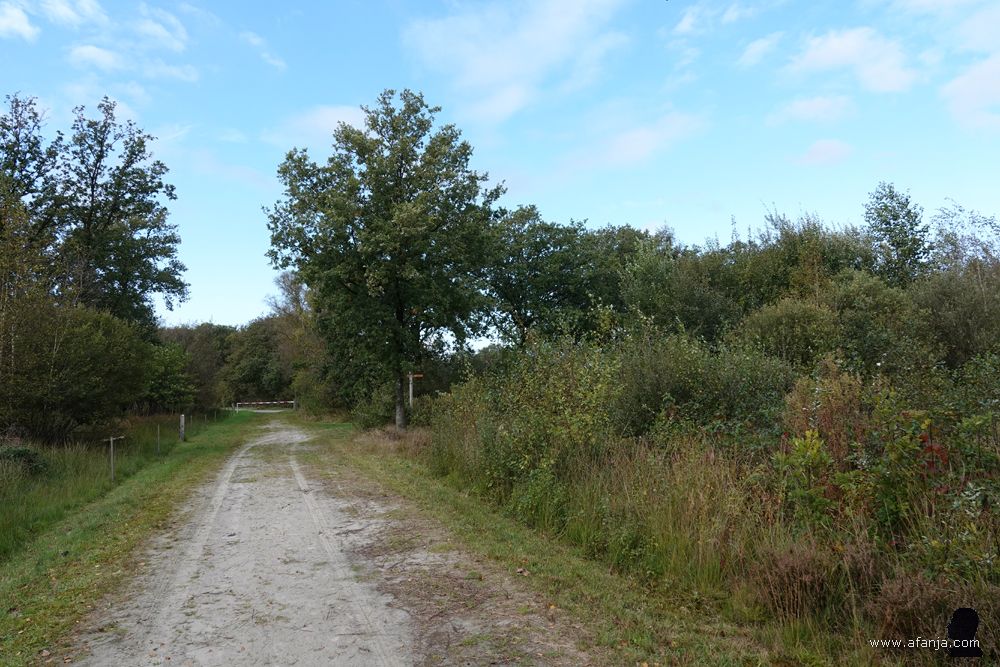 zandpad in het Weinterper Skar