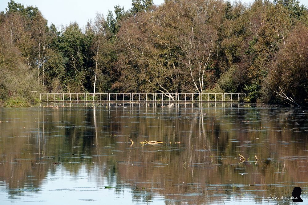 stille wateren in de Deelen met in de verte een vlonderbrug