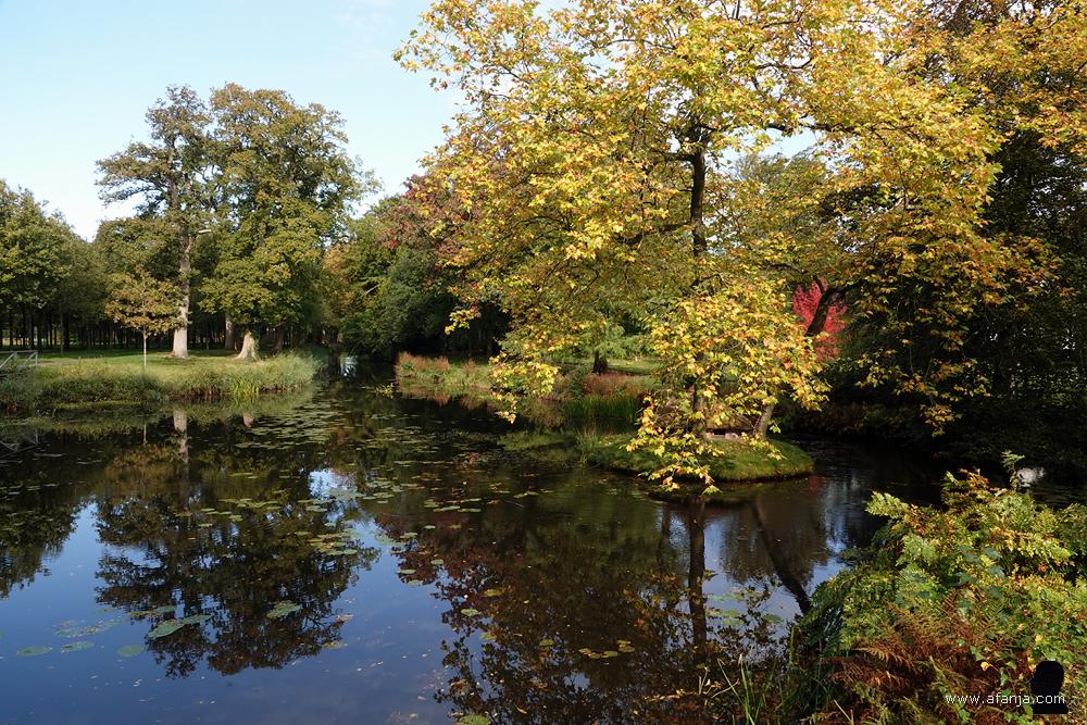 parklandschap met vijver in herfsttooi