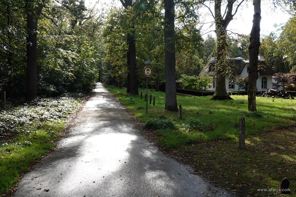 een bospad, verboden voor auto's en motoren