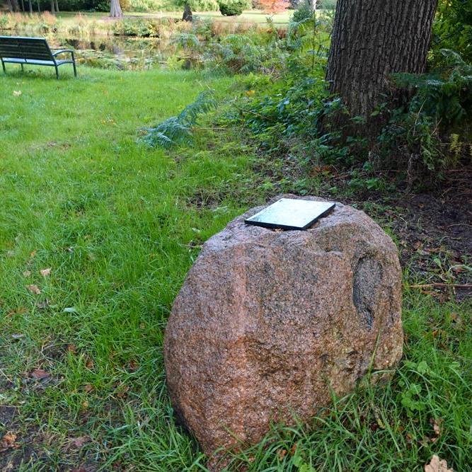 op de voorgrond een zwerfsteen, op de achtergrond een bankje