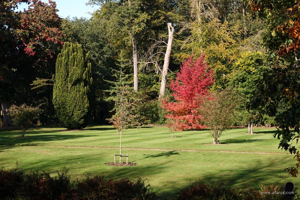 zicht op een deel van de tuin bij Huize Oranjewoud