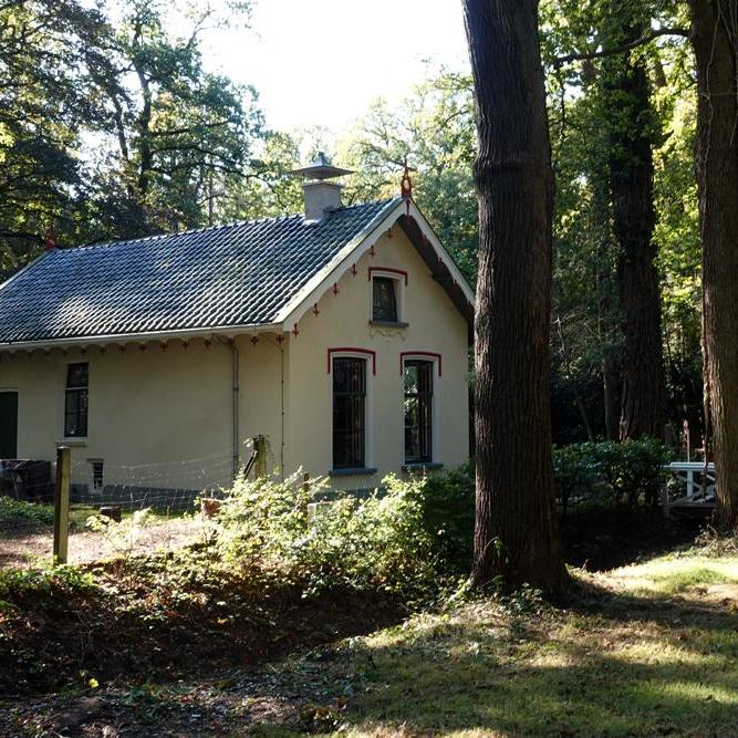 een klein huisje in het bos aan de Marijkemuoiwei