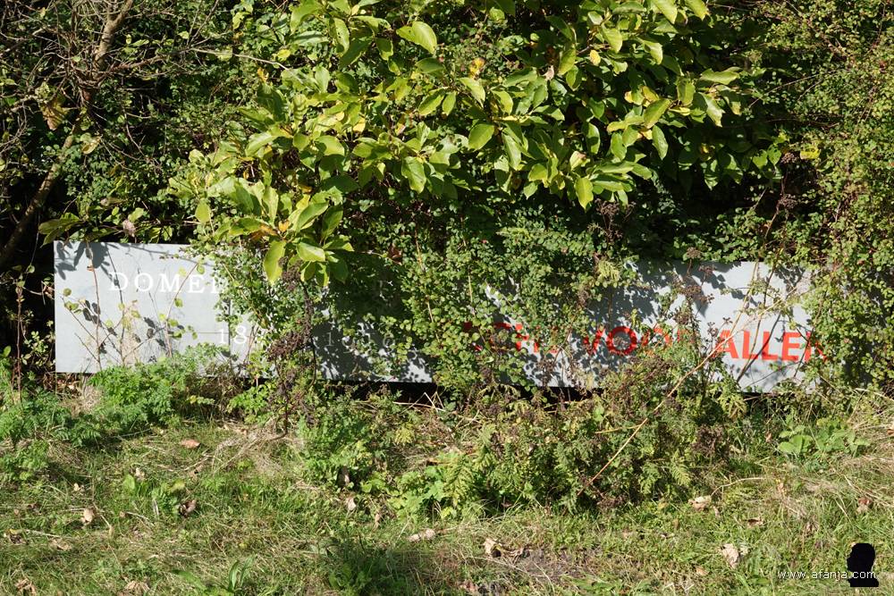 achter het groen staat een slecht leesbaar bord met de tekst 'Domela Nieuwenhuis - 1846-1919 - RECHT VOOR ALLEN