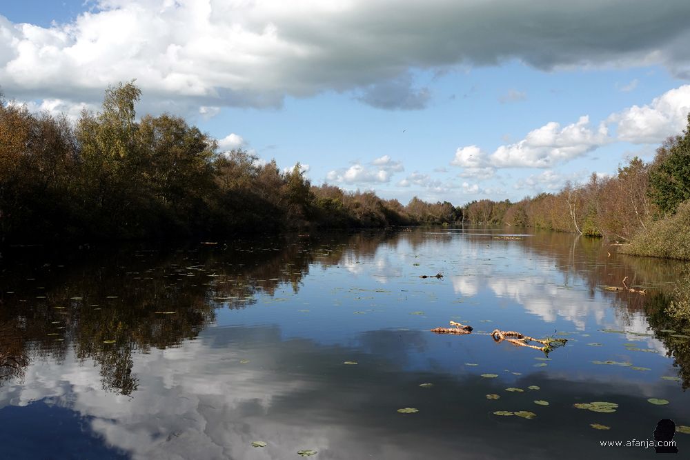 weerspiegelingen in een petgat in De Deelen