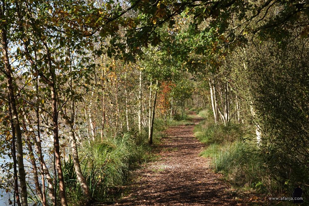 wandelpad langs een petgat in De Deelen