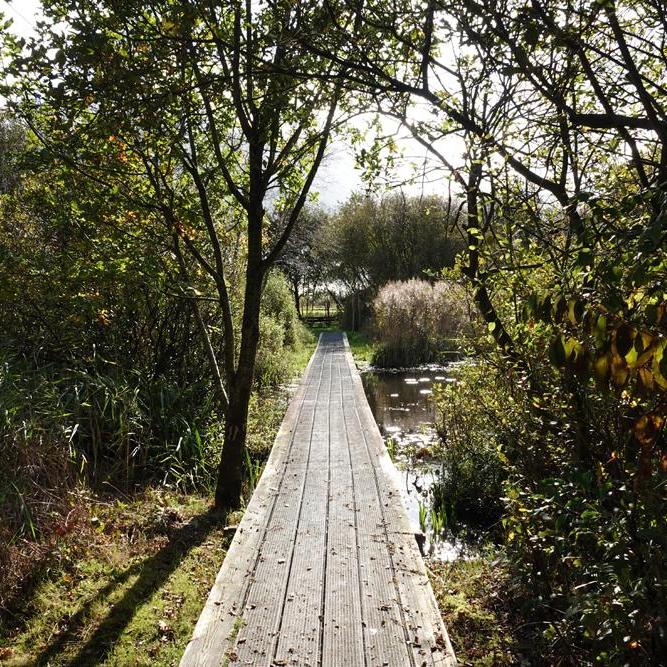 een bruggetje in De Deelen
