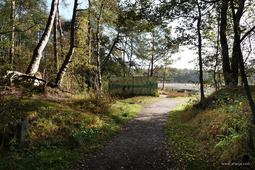 bijna bij het Witte Meer oftewel de ijsbaan van Beetsterzwaag