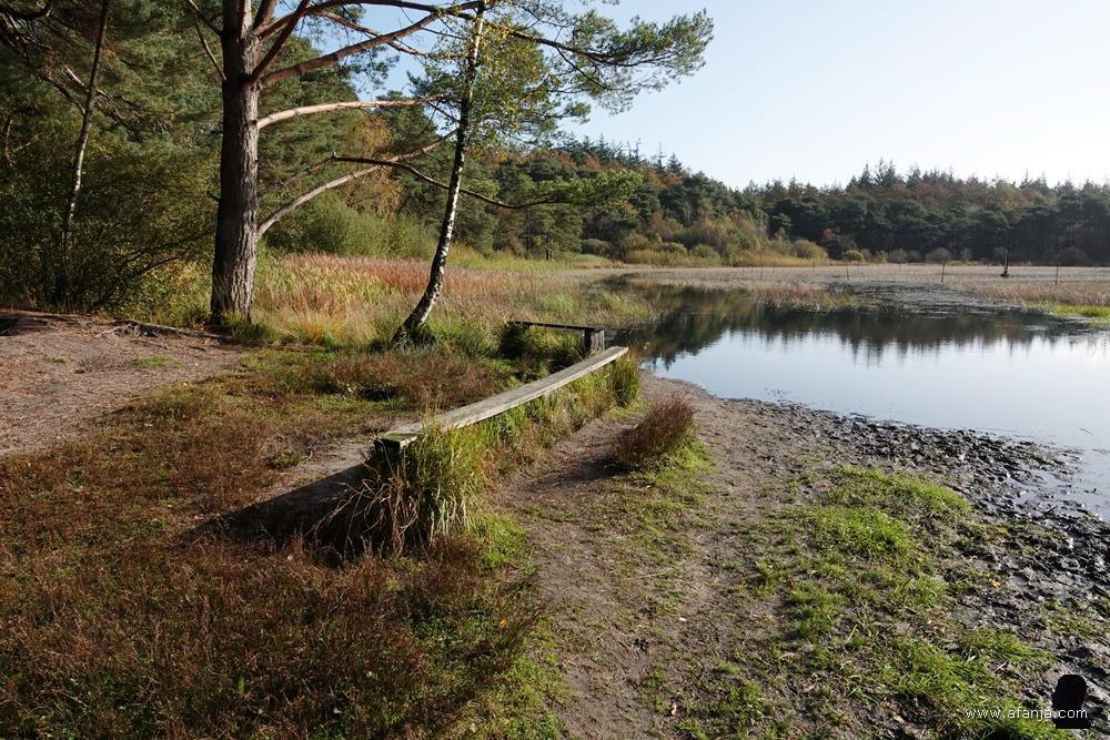 bankjes bij het Witte Meer