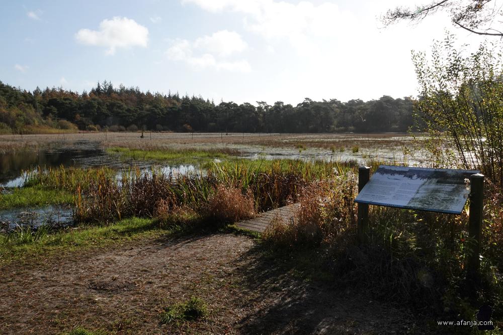 informatiepaneel bij het Witte Meer