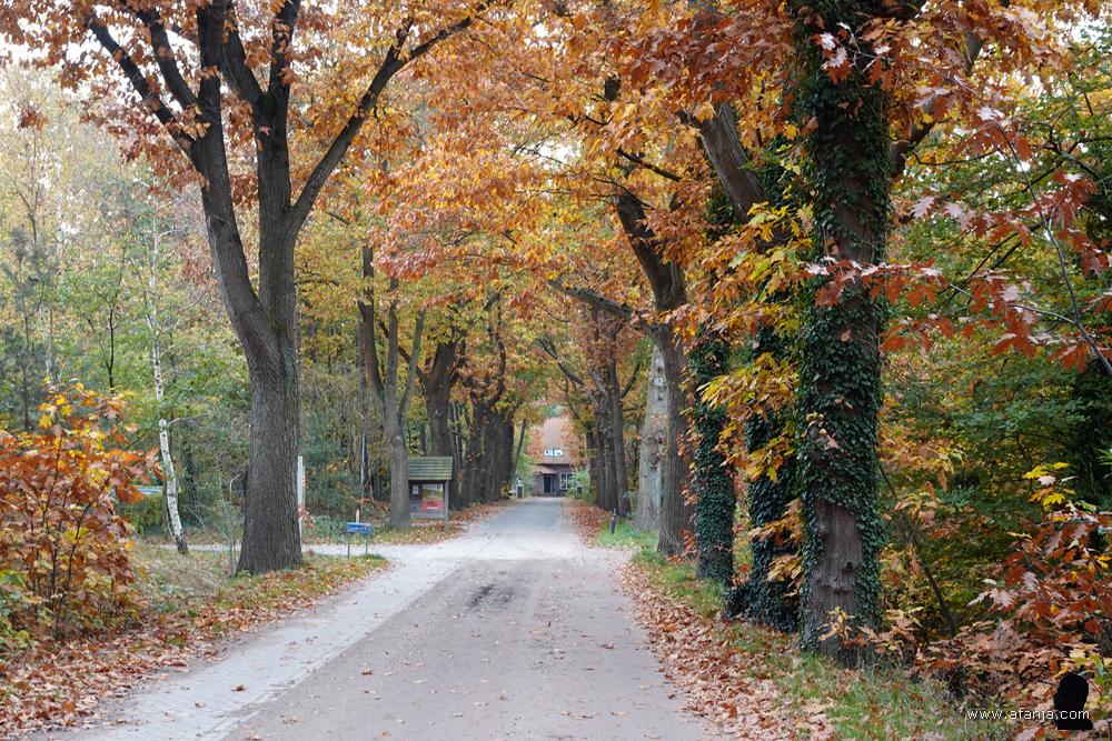 herfstkleuren onderweg