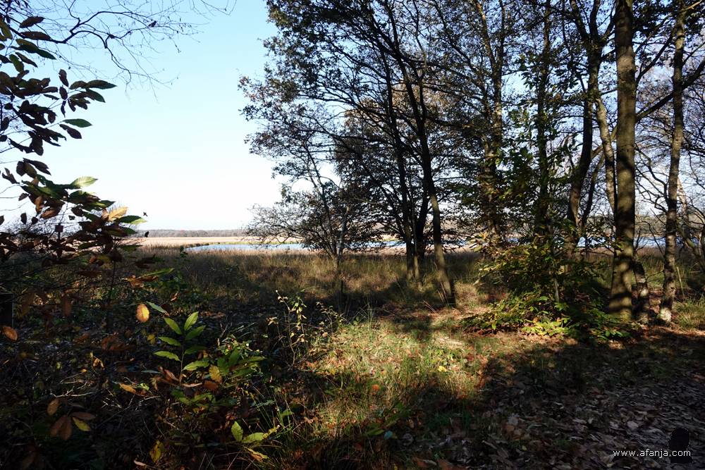 zicht op het ven de Waskmar op de Duurswouder Heide