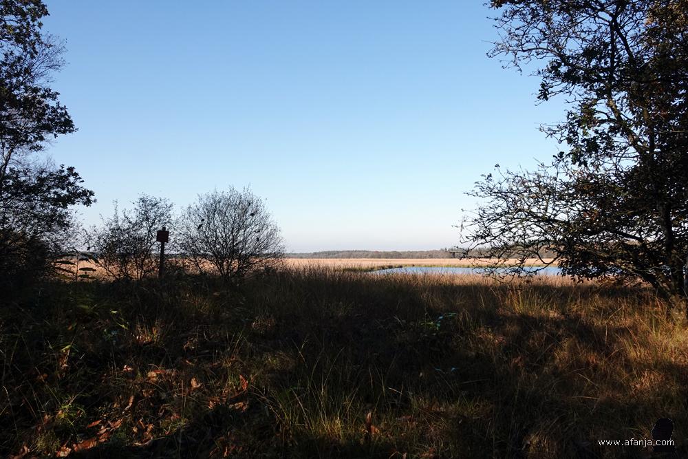 zicht op het ven de Waskmar op de Duurswouder Heide