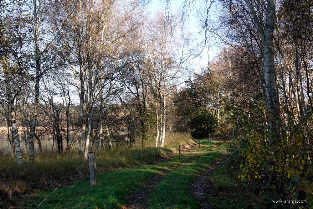 wandelpad langs de Duurswouder Heide