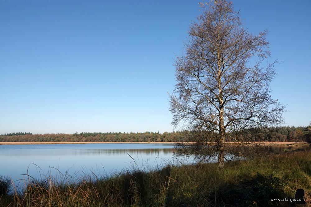het ven de Waskmar op de Duurswouder Heide