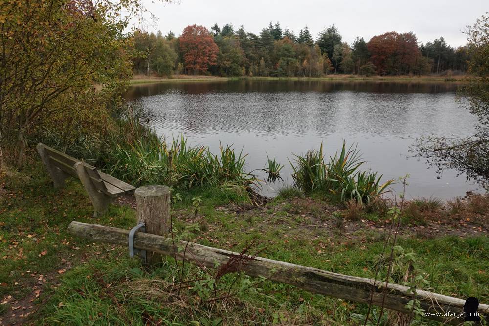 een bankje bij de Poel van Dien