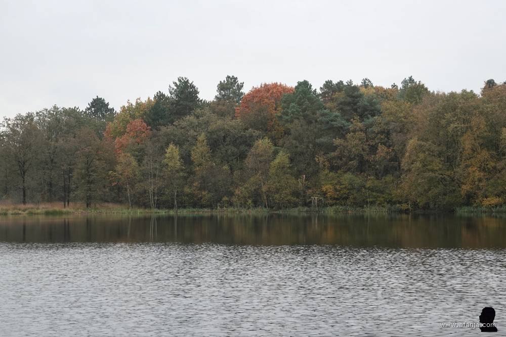 herfstkleuren bij de Poel van Dien