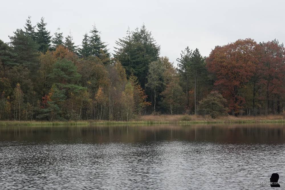 herfstkleuren bij de Poel van Dien